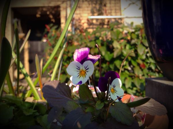 rblog-20141231140627-04.jpg
