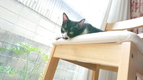 rblog-20180923234306-02.jpg