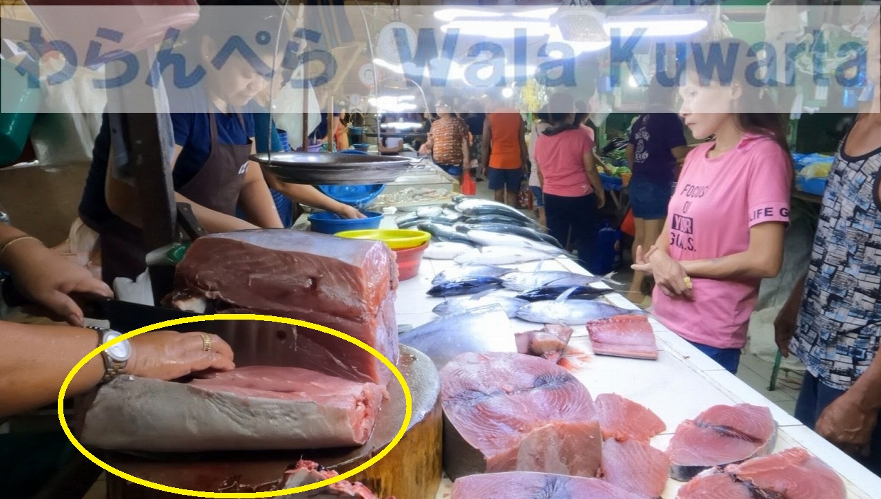 January 2025 まぐろ・マグロ Tuna ジェネラル サントス