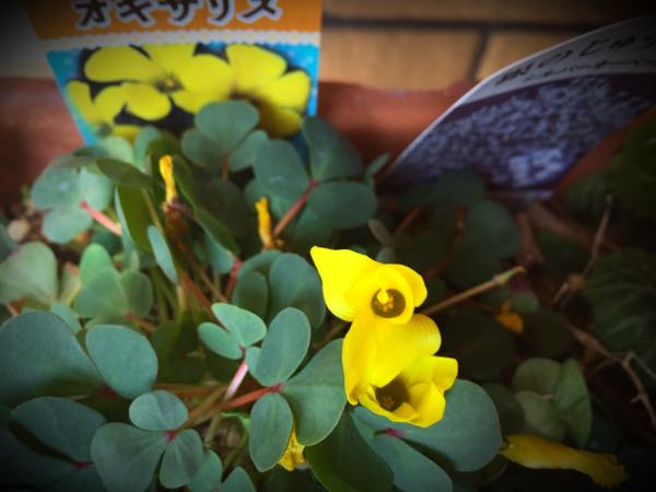 rblog-20150227215626-02.jpg