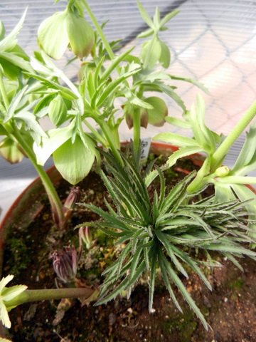 DSCN0789.JPG