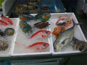 沖縄189.jpg