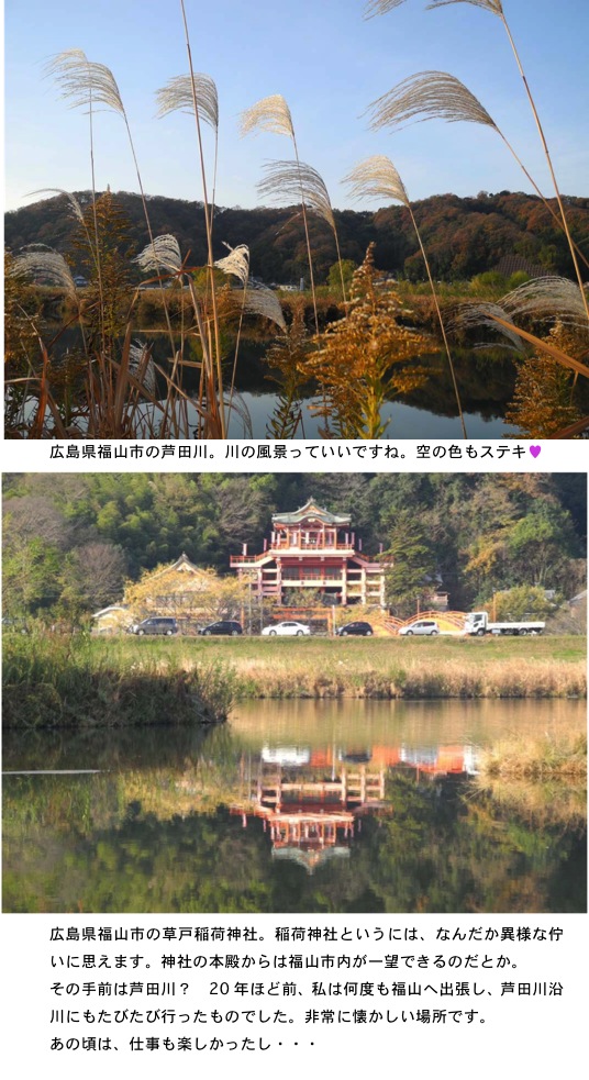 2012.12.15-5.jpg