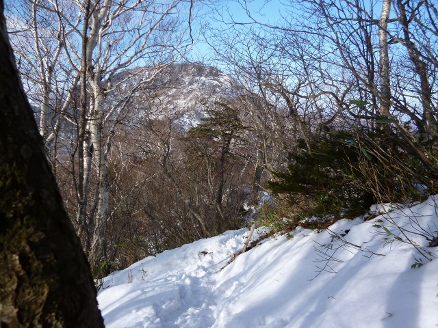 P1320335下山で分岐12：08.jpg