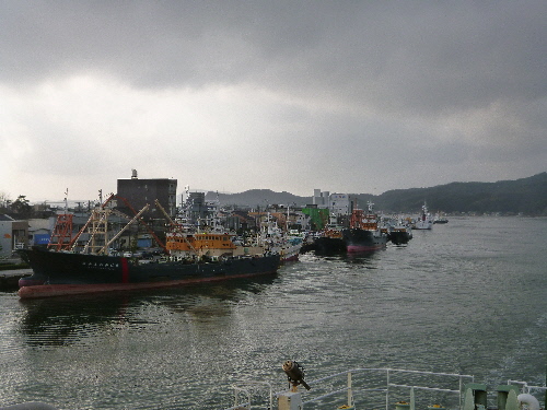 P1140694(1).JPG