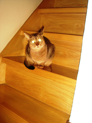 DSC08800.jpg