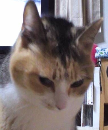 KIMG0905.JPG