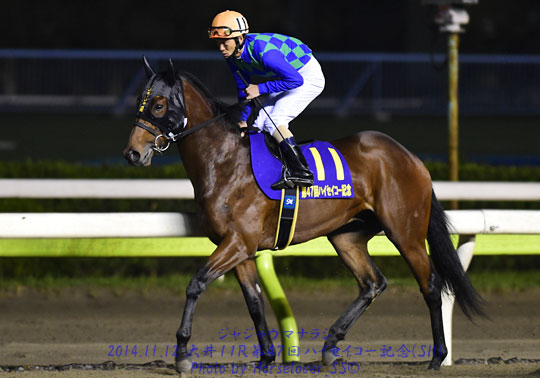 11JajaumaNarashi111214tck11R_04