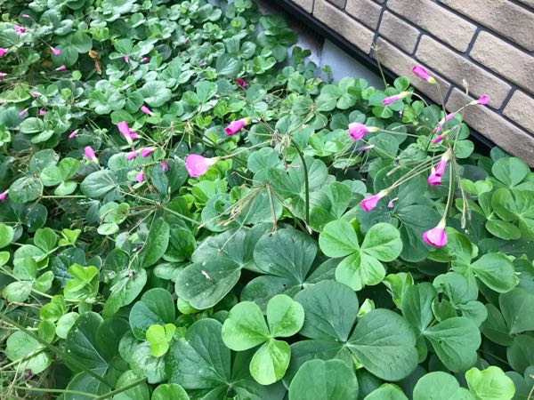 rblog-20181203161249-05.jpg