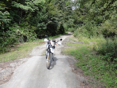 七ケ岳林道終点