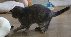 5DA_5970-7.jpg