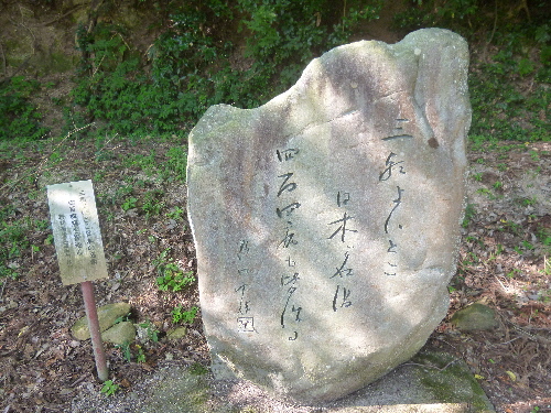 P1120232(1).JPG