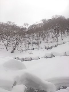 露天風呂からの風景