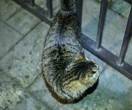 5DA_0852-9.jpg