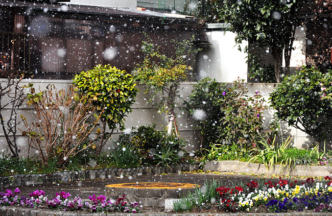 雪４