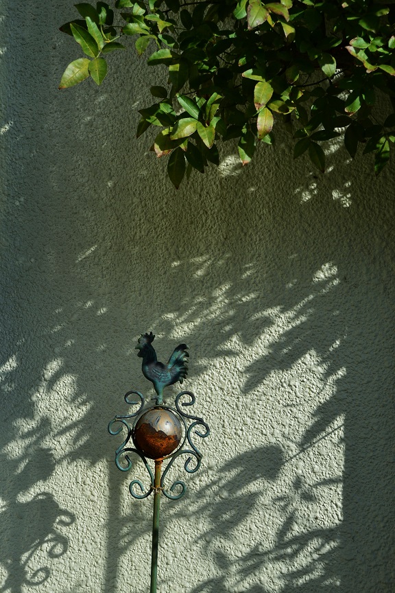 DSC_0731.JPG