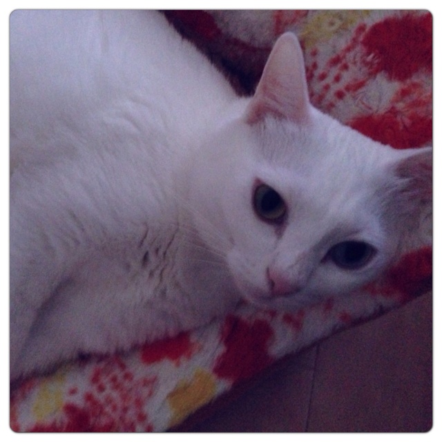 rblog-20130723164551-00.jpg