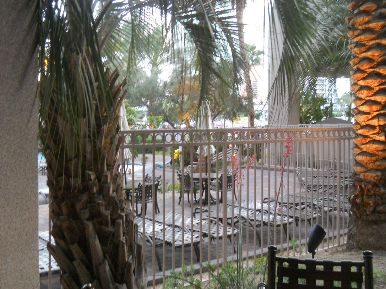 DSCN7226.JPG