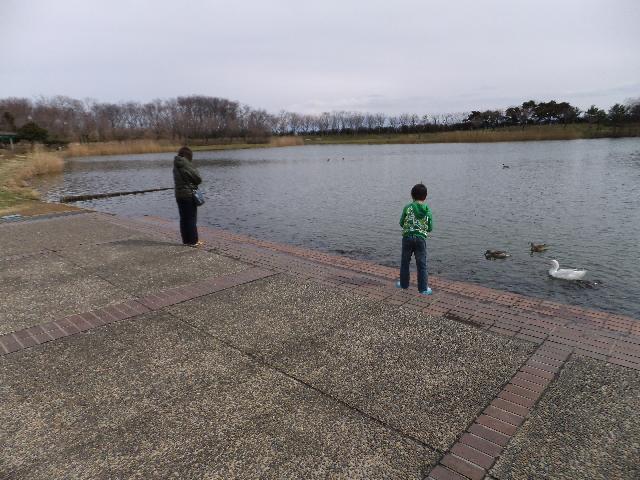 DSCF9619.jpg