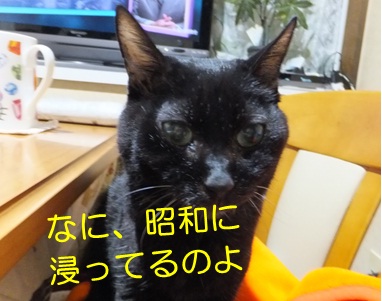 20121116_4.jpg