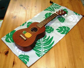 DSCN3932b.JPG