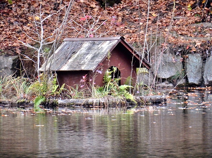 洞川湖　10.JPG