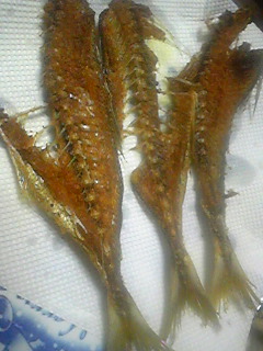 120229_185708.jpg