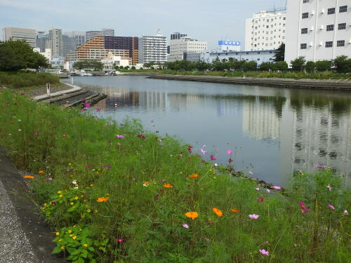 しながわ花海道