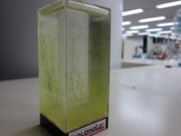 Img_0633 Img_0633