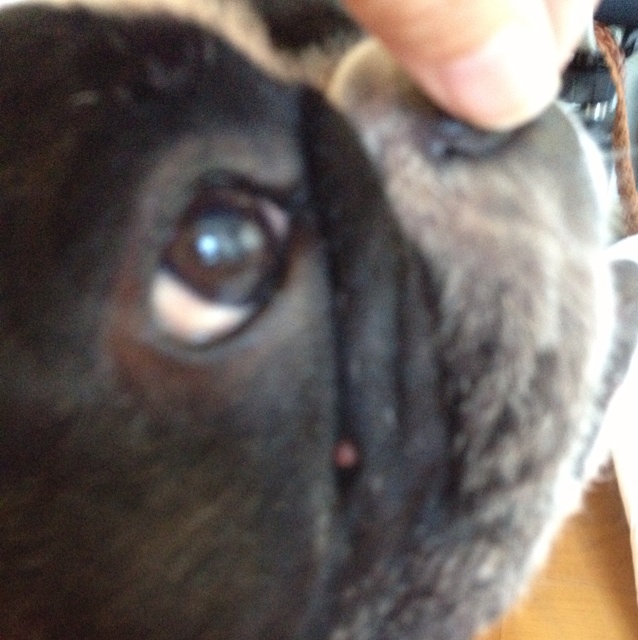 rblog-20130921170328-03.jpg
