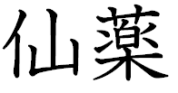 仙薬。