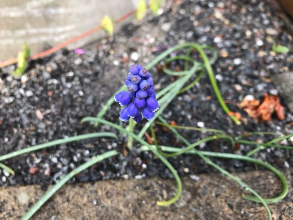 rblog-20190401162936-09.jpg