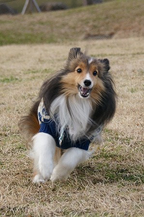 DSC07044.jpg