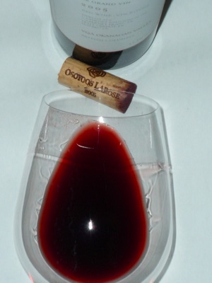 Osoyoos Larose Le Grand Vin 2005 glass.jpg