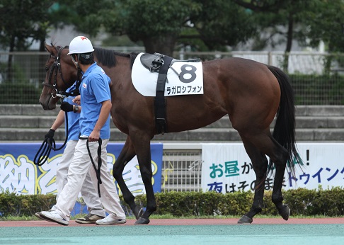 新馬戦４.jpg