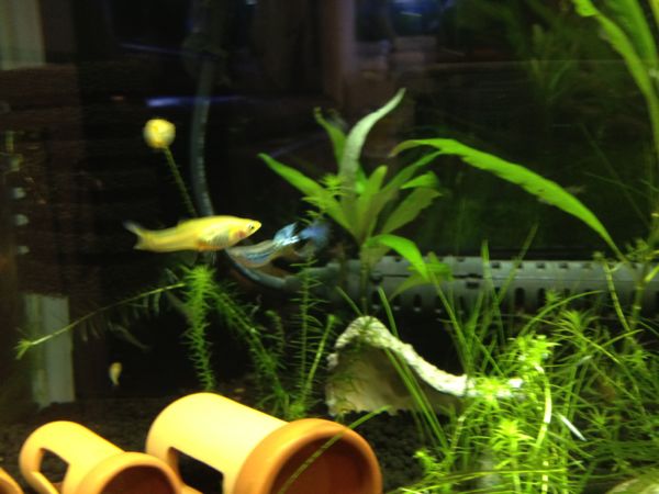 rblog-20141130024952-03.jpg