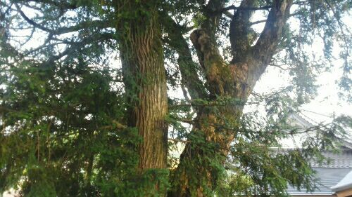 rblog-20180830134215-04.jpg