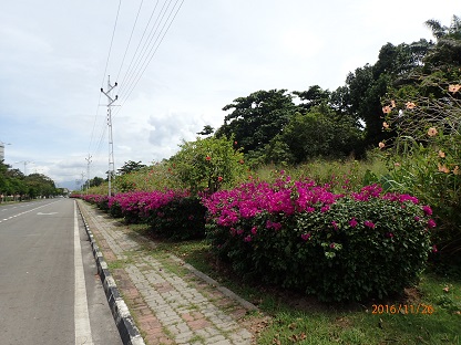 PB260140.JPG