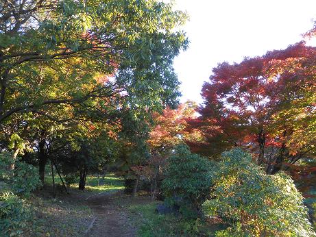 DSCN0863.jpg