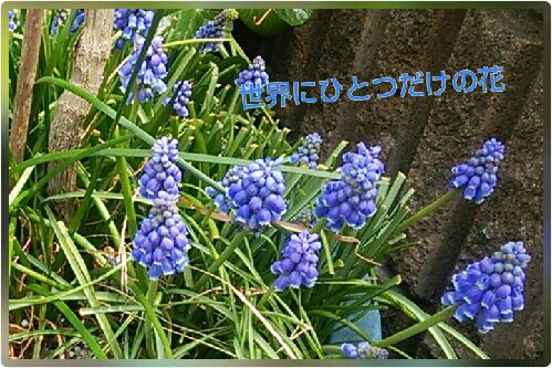 rblog-20160407222629-00.jpg