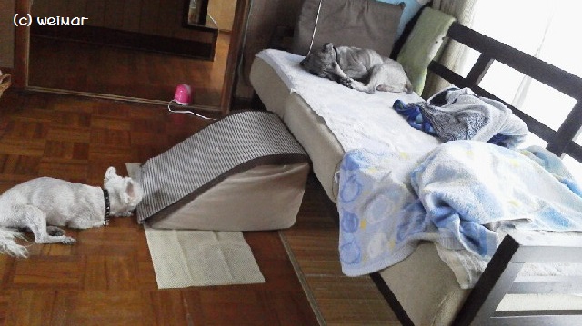 2016061514030000 (2).jpg