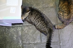 5DA_0039-12.jpg