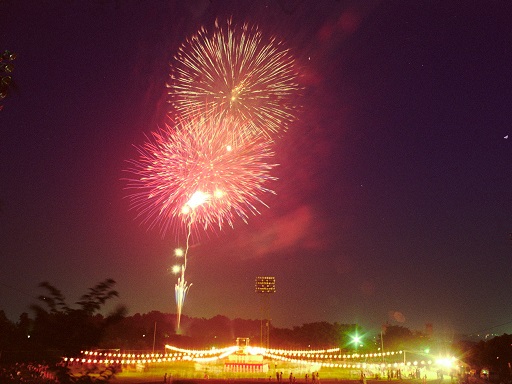 夏の大池公園