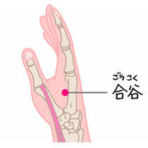 0122%20LI-04-thumb-210xauto-1541.jpg