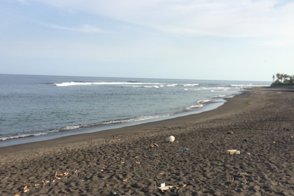 bali-day1c.jpg