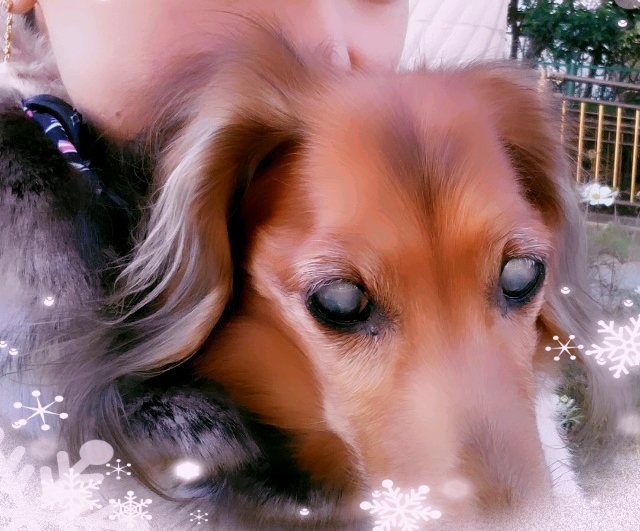 CUNPIC_20151229_145939.jpg