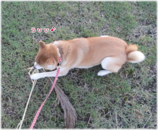 1023夕方8.jpg