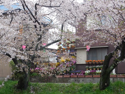 岩倉２.jpg