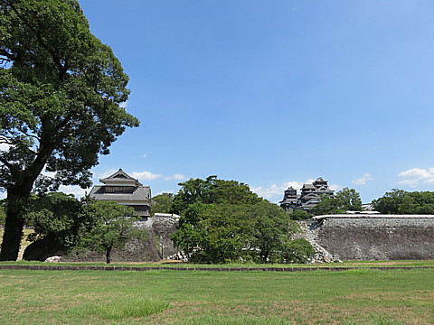 IMG_4828.jpg