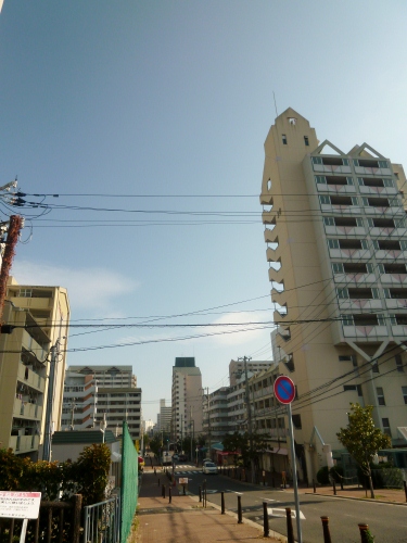 084 (375x500).jpg